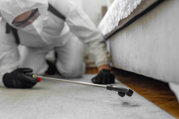 Professional Termite Control technician working in Kirby, TX