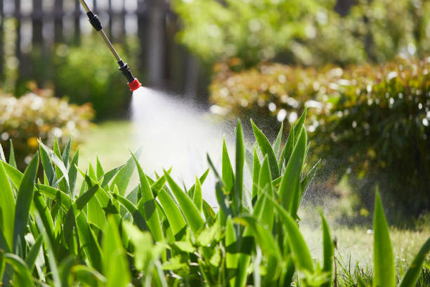 24/7 Emergency Termite Control experts in Kirby, TX